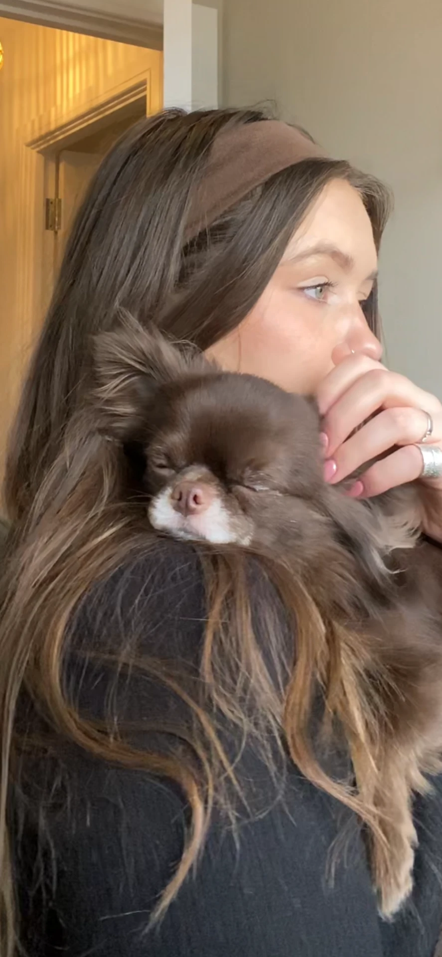 Georgie's pup having a cosy cuddle